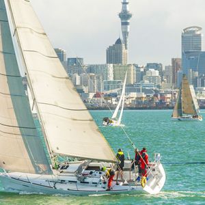 Auckland Flights