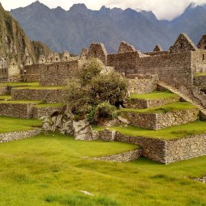 Cusco